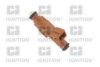 QUINTON HAZELL XPSI29 Nozzle and Holder Assembly